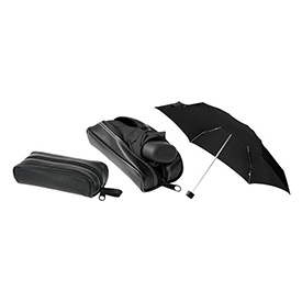 umbrella_in_leather_bag